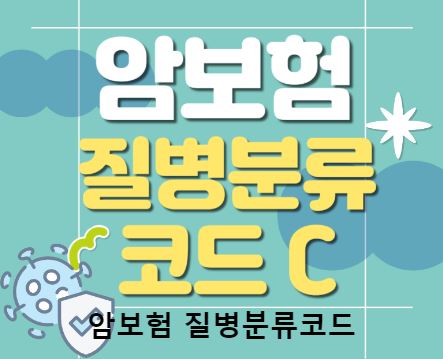 보험비교사이트 위즈인슈와 함께하는 스마트 선택