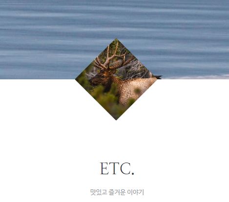 태상의 미니샵 바로가기로 알아보는 집콕라이프의 기초