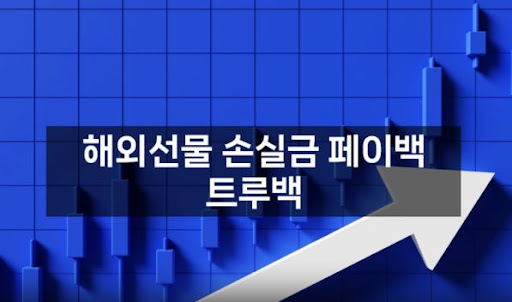 해외선물미니업체 트루백, 신뢰할 수 있는 투자의 파트너